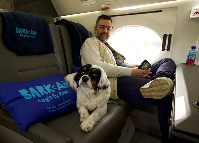 В США появилась первая в мире авиакомпания для собак – ФОТО – ВИДЕО