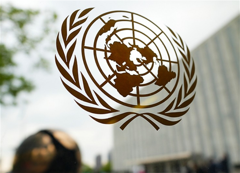 Алжир запросил заседание Совбеза ООН по массовым захоронениям в Газе