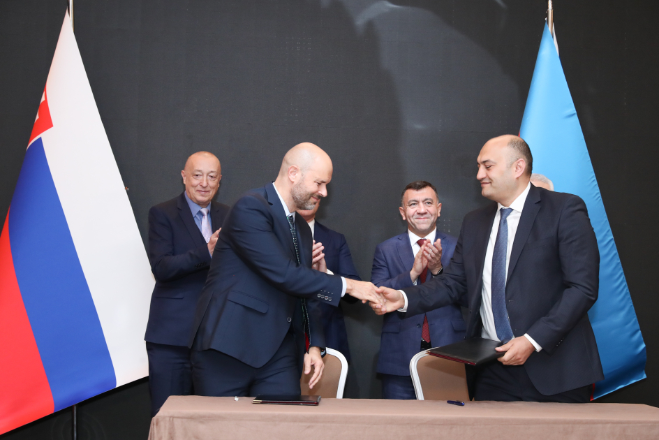 Между Азербайджаном и Словакией подписаны документы - ФОТО