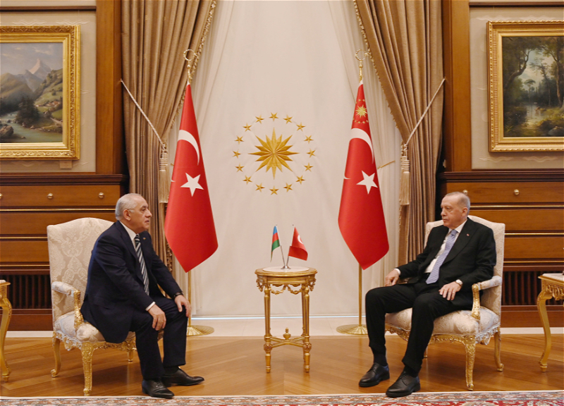 Али Асадов встретился с Президентом Турции Реджепом Тайипом Эрдоганом