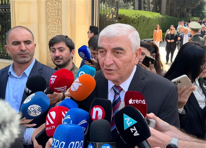 Дата парламентских выборов в Азербайджане может быть перенесена на ранний срок - Мазахир Панахов
