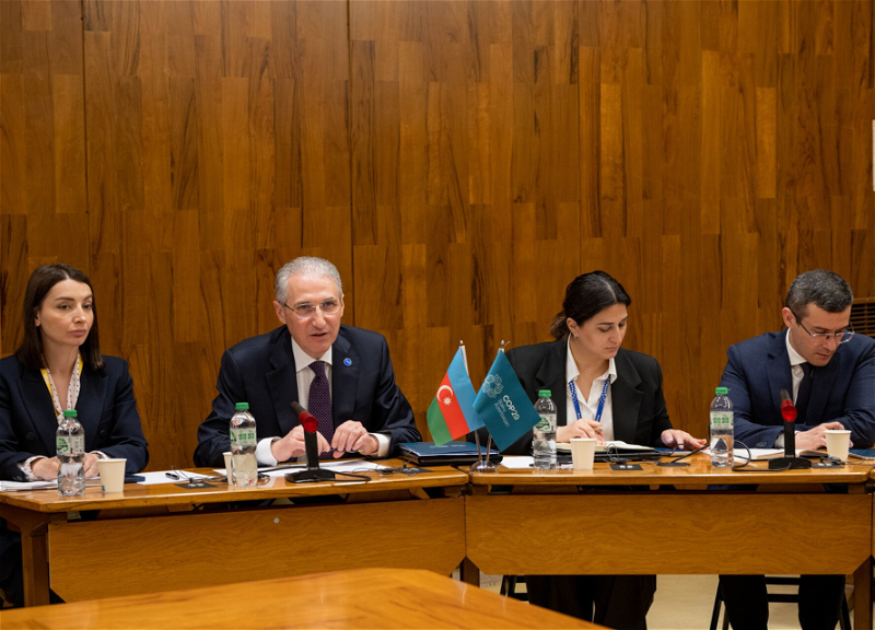 Мухтар Бабаев встретился со спецпредставителем ООН по устойчивой энергетике - ФОТО