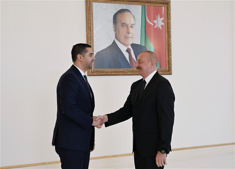 Президент Ильхам Алиев принял делегацию, возглавляемую действующим председателем ОБСЕ - ФОТО
