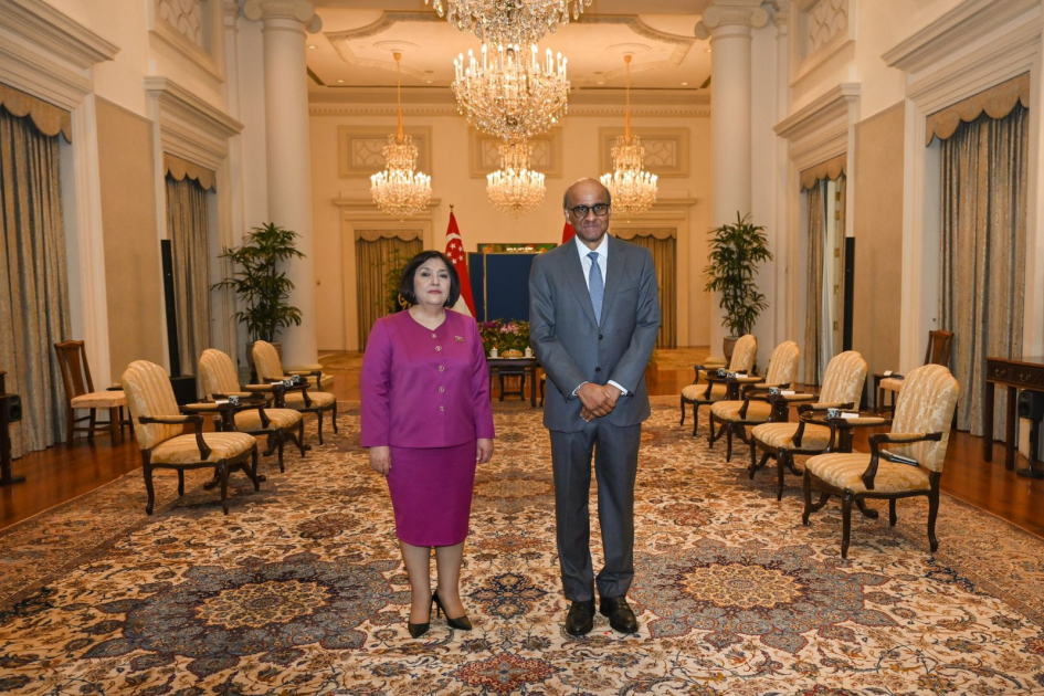 Президент Сингапура: Между Азербайджаном и Сингапуром сложились добрые отношения - ФОТО