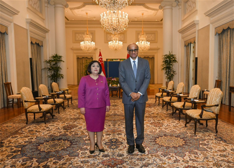 Президент Сингапура: Между Азербайджаном и Сингапуром сложились добрые отношения - ФОТО