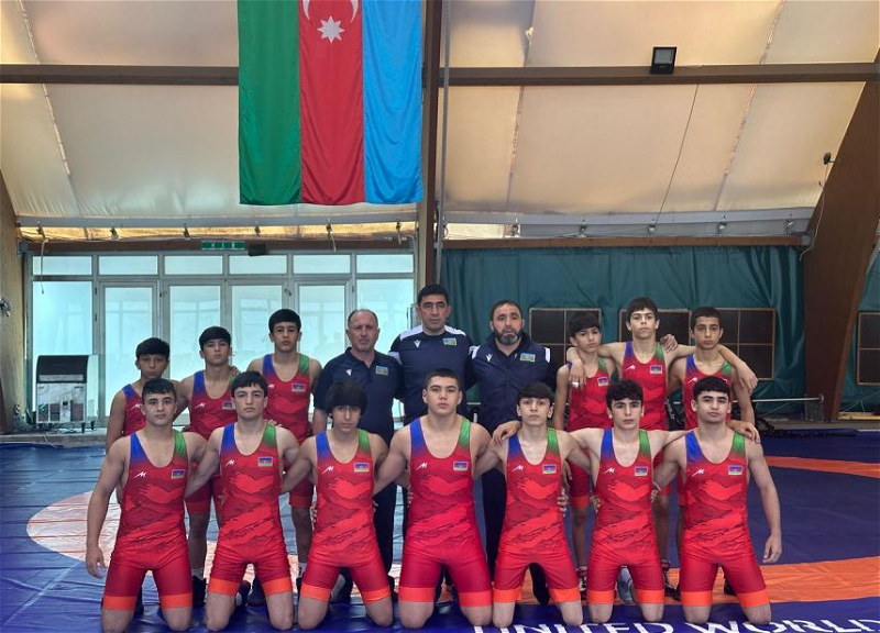 Азербайджанские борцы выиграли ЕВРО