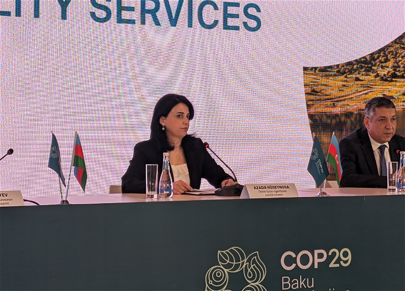 В Азербайджане приступили к работе по приведению туристической отрасли в полную готовность к COP29