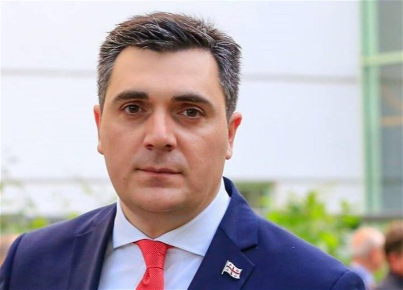 Глава МИД Грузии: Рассчитываем на дальнейшее развитие партнерства с Азербайджаном