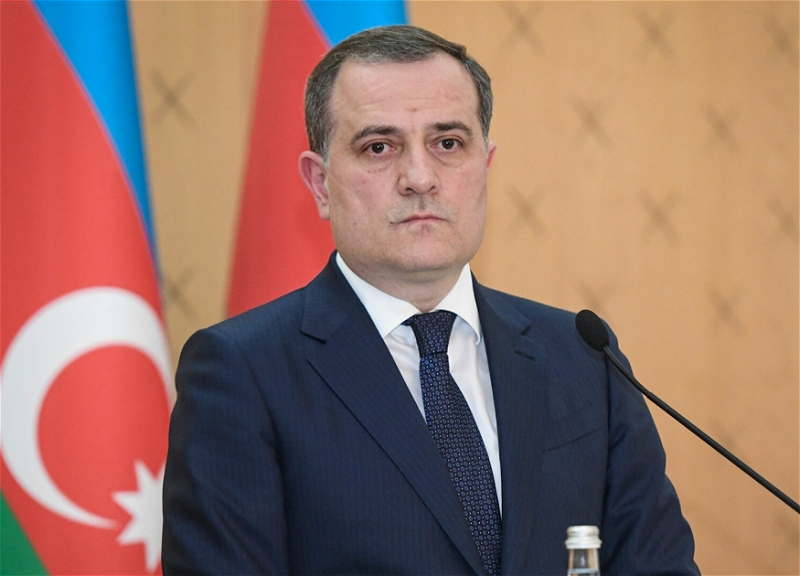 Глава МИД АР: Позиция Азербайджана по вопросу Джамму и Кашмира остается неизменной