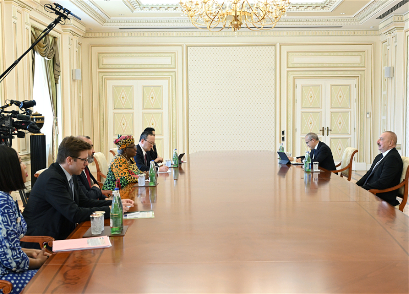 Президент Азербайджана принял гендиректора ВТО