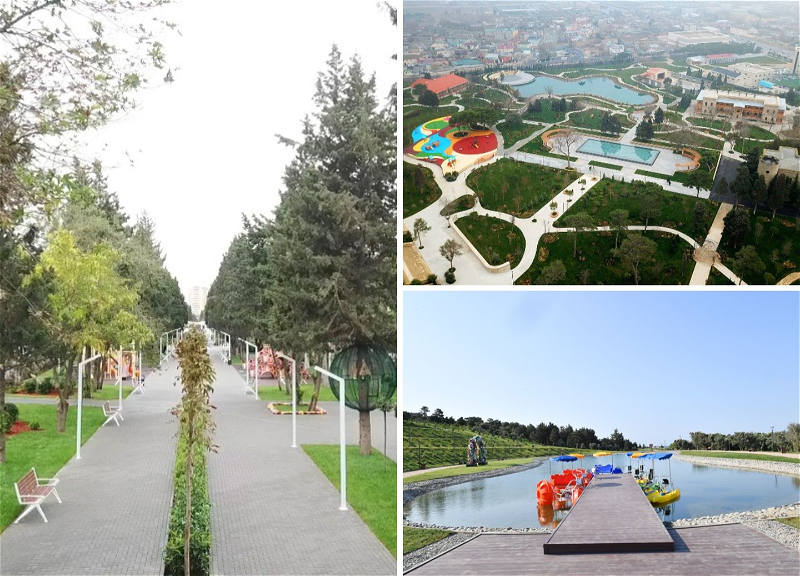Баку – город парков: какие работы проводятся для озеленения столицы? - ФОТО