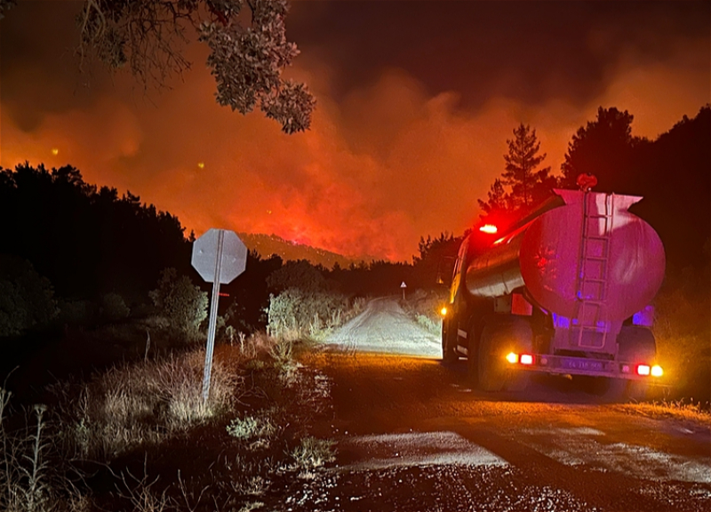 Лесной пожар на западе Турции взят под контроль - ФОТО – ОБНОВЛЕНО
