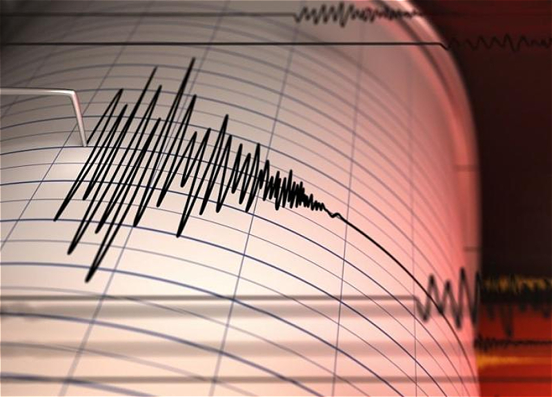 У берегов Тонга произошло землетрясение магнитудой 6,0