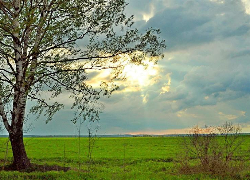 Bazar günü hava şəraiti necə olacaq?