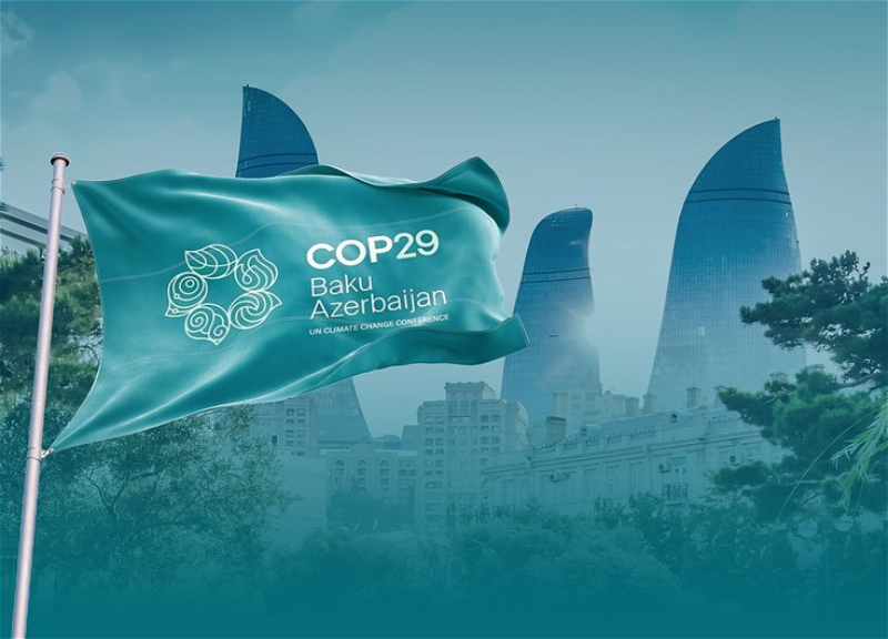 COP29 konfransı əməkdaşlarının geyim forması müəyyən edilib