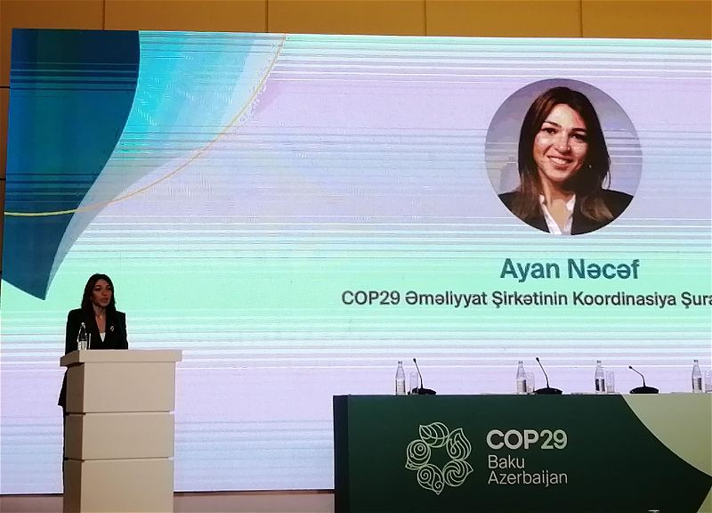 COP29-u işıqlandırmaq üçün qeydiyyatdan keçən beynəlxalq media nümayəndələrinin sayı açıqlanıb