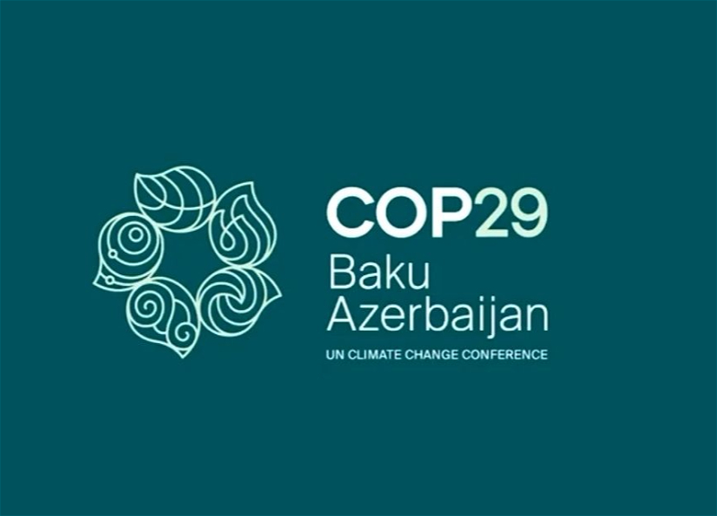 COP29 ərəfəsində miqrasiya qaydaları ilə bağlı güzəştlər tətbiq olunacaq