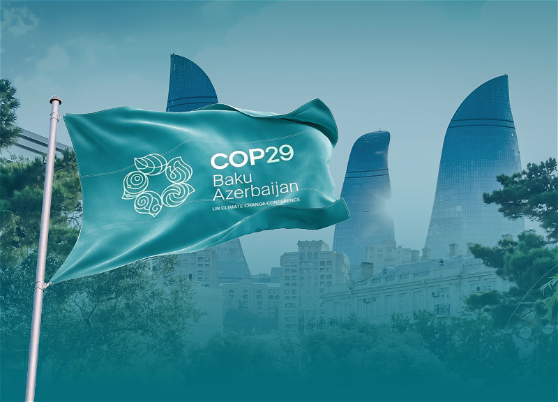 Скоординированная кампания против COP29 через платформу «X» ведется с фейковых профилей - ВИДЕО