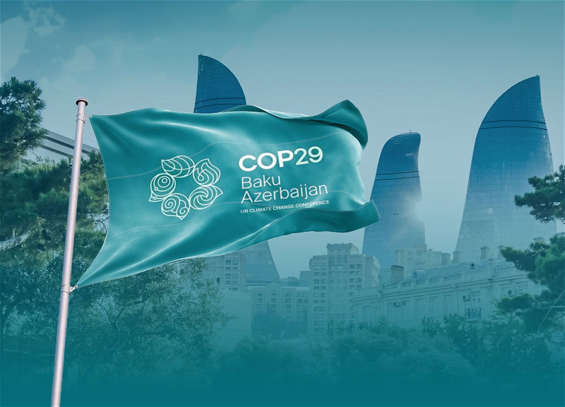 COP29