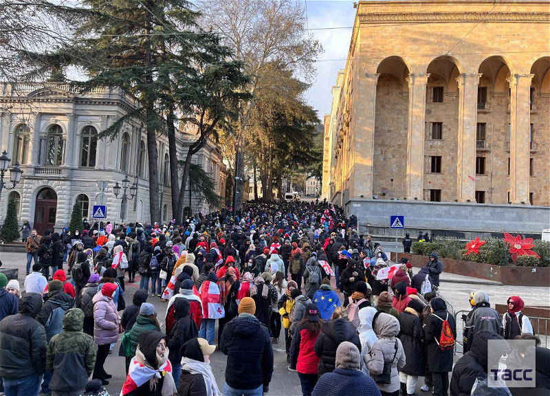 В Тбилиси у здания парламента проходит митинг против выборов президента - ВИДЕО