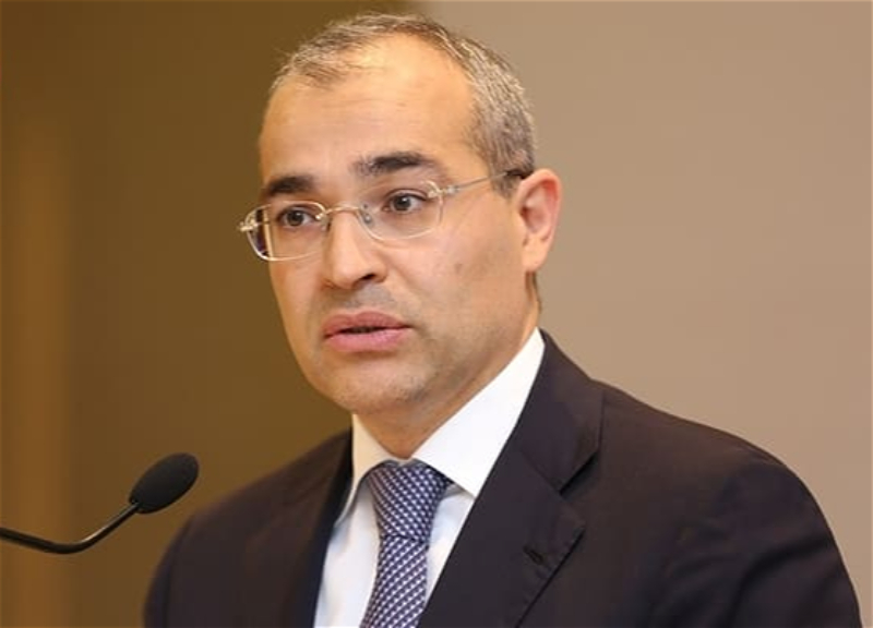 Nazir: Prioritet sahələrdə ciddi vergi güzəştləri tətbiq olunur