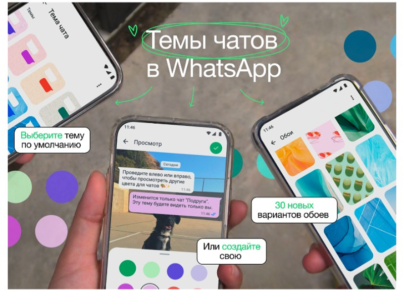 WhatsApp обновился: Новые темы чатов, обои и индивидуальные настройки