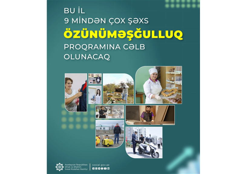 Сколько человек будет привлечено к программе самозанятости в Азербайджане в этом году?