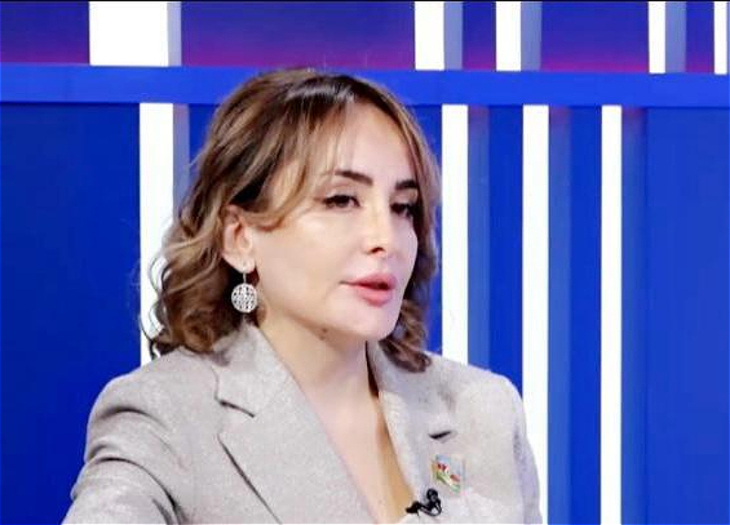 Nigar Məmmədova: “Mətn üzrə işin yekunlaşdırılması sülh müqaviləsinin imzalanması demək deyil”