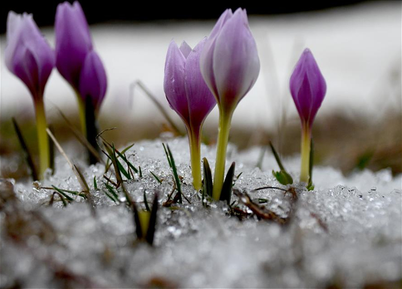 Bayram günlərində temperatur 10-15 dərəcə enəcək - XƏBƏRDARLIQ