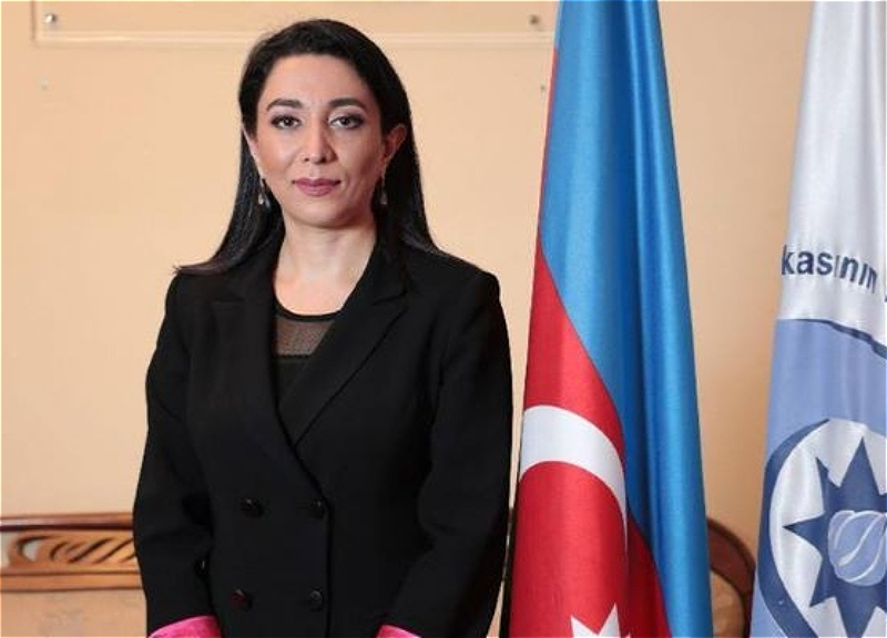 Səbinə Əliyeva “Amnesty International” baş katibinə açıq etiraz məktubu ünvanlayıb