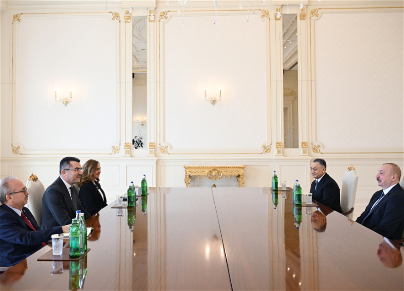 Президент Ильхам Алиев принял генерального секретаря Совета национальной безопасности Турции - ФОТО