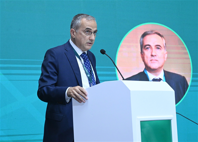 Фарид Шафиев: Исламофобия представляет серьезную угрозу глобальной стабильности и единству