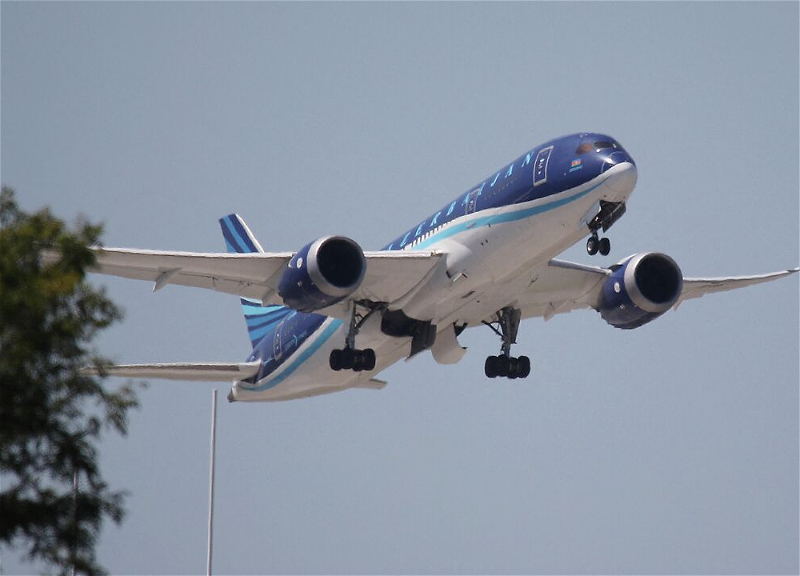 AZAL увеличил число рейсов на направлении Нахчыван на праздник Гурбан байрамы