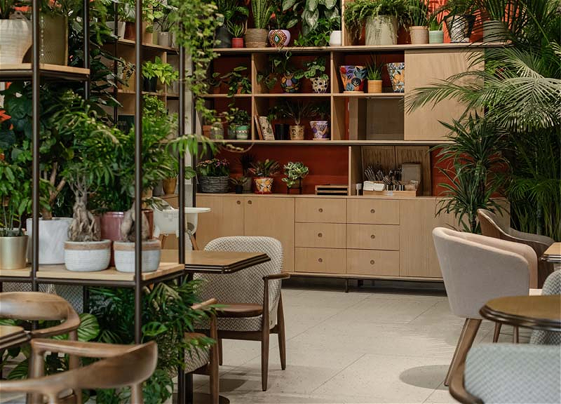 “Cafe Botanist”: Bakı şəhərində təbiət yönümlü kafe konsepti - FOTO