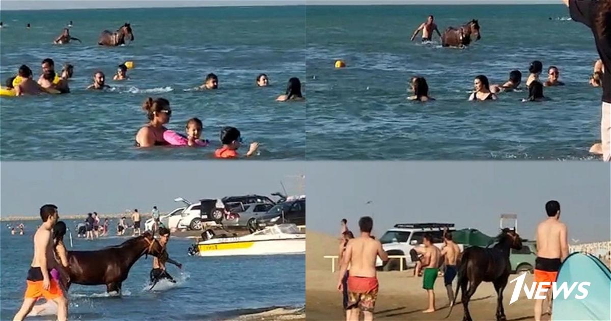 Шок на пляже Пиршага: Владелец лошадей предстанет перед судом за опасные развлечения в море!
