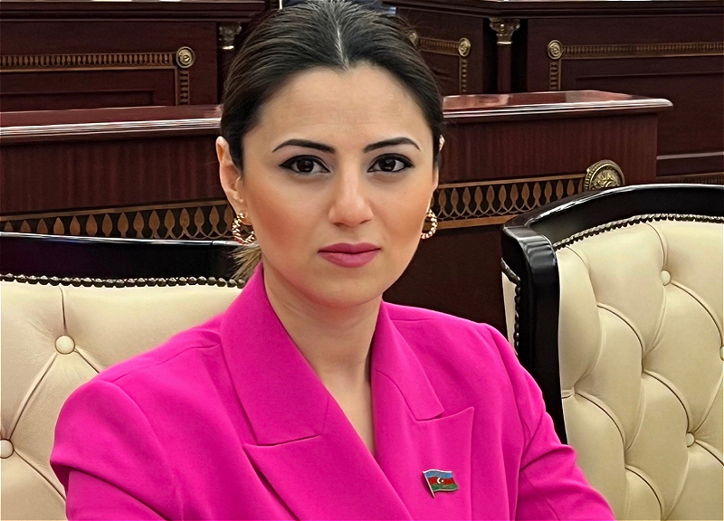 Deputat: Mehriban Əliyevanın irəli sürdüyü təşəbbüslər Azərbaycan dövlətinin milli gücünü artırıb