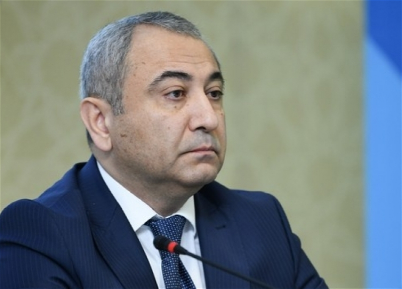 AYNA sədri: Daşıyıcılar minimum resurs hesabına daha çox sərnişin daşımaq niyyətini güdürlər