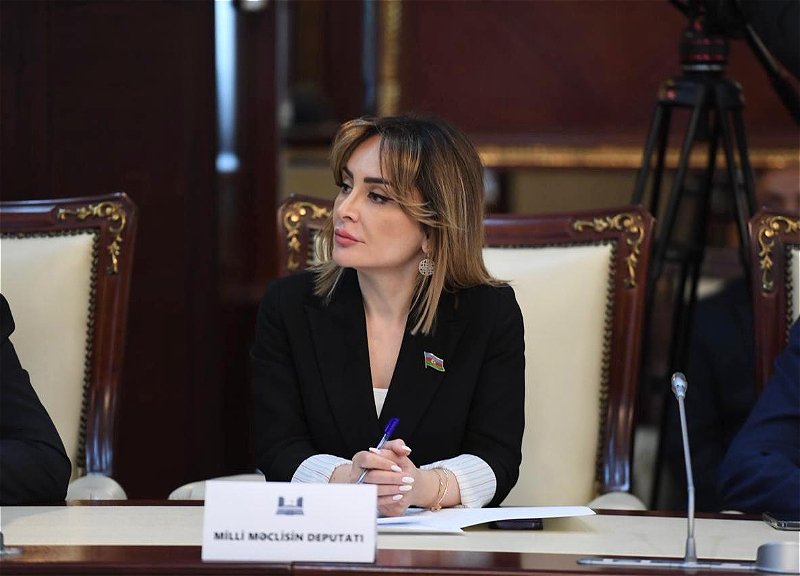 Nigar Məmmədova: Ulu Öndər Prezident seçilərkən müəyyənləşdirilən bütün prioritetlər reallığa çevrilib