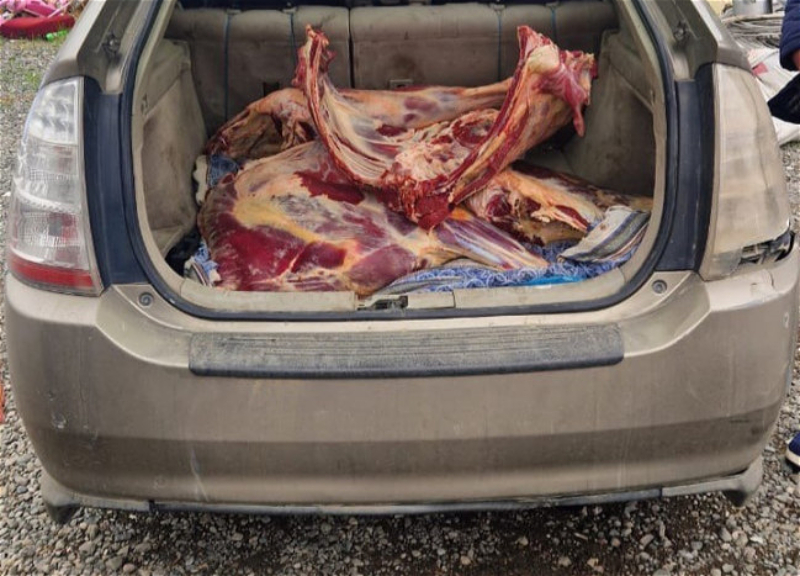 “Toyota Prius”da mənşəyi məlum olmayan ət aşkarlanıb