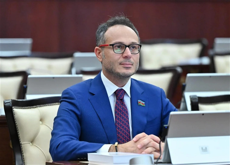 ЦИК прекратил депутатские полномочия Рамиля Гасана