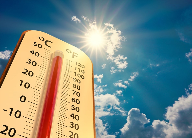 Умайра Тагиева: Смертность резко растет при температуре выше 36°C