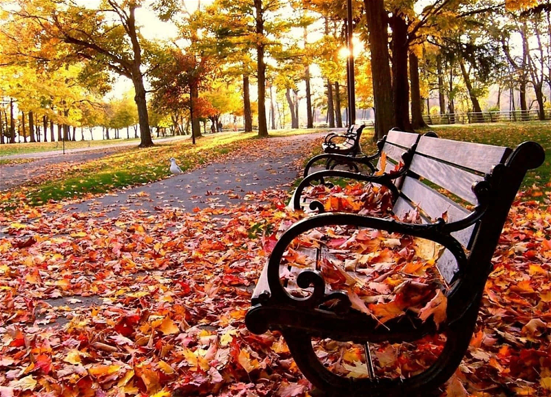 Прогноз погоды в Азербайджане на последний день октября