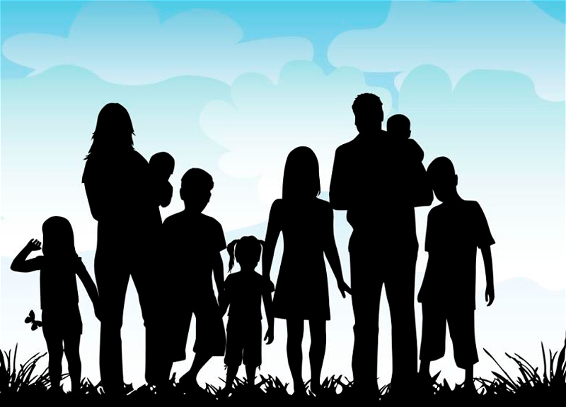 В парламенте предложили расширить поддержку многодетных семей