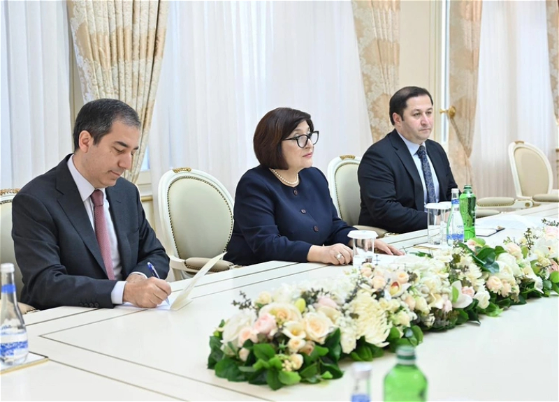 Slovakiya səfiri Sahibə Qafarova ilə görüşdən paylaşım edib