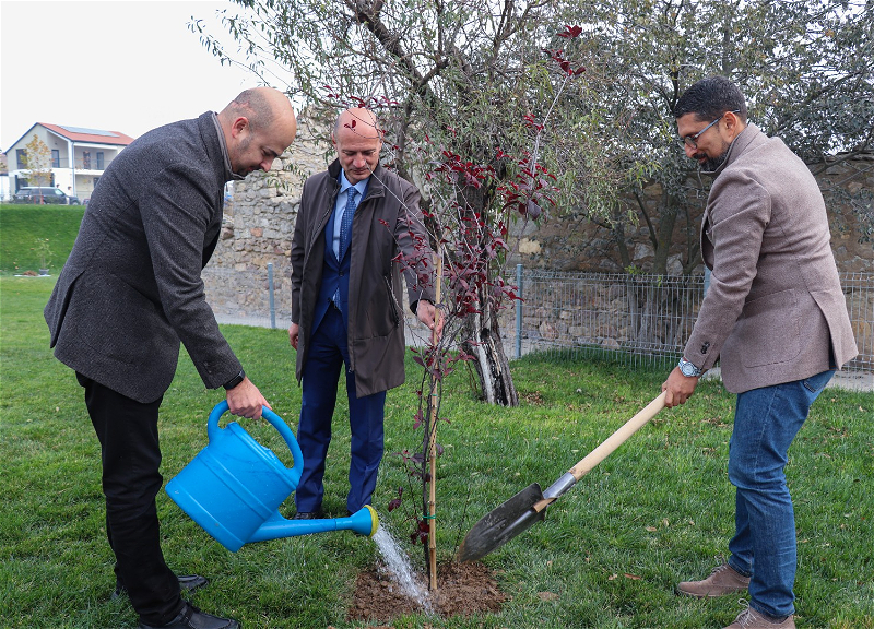В Хоровлу состоялась акция по посадке деревьев при поддержке Фонда Возрождения Карабаха - ФОТО