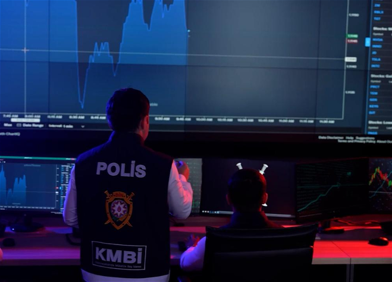 МВД призвало граждан не верить предложениям о заработке и страховках