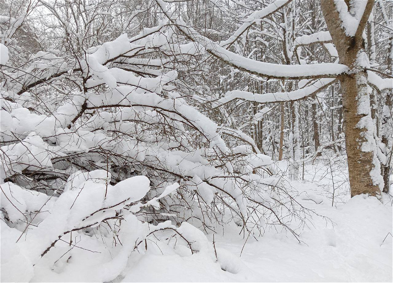 В Азербайджане порывы ветра достигли 28 м/с, а высота снега 30 см