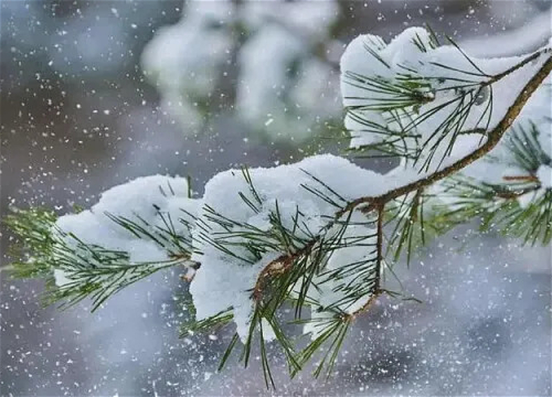 На территории страны наблюдается дождливая погода, местами идет снег