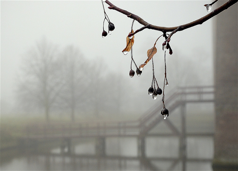 Погода на пятницу: В Баку ожидается туман и дождь