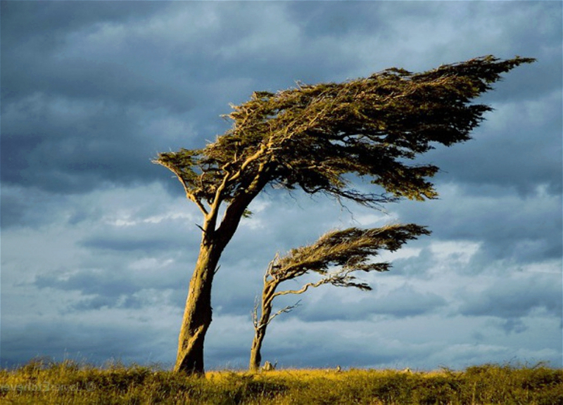 Погода на пятницу: В Баку усилится ветер
